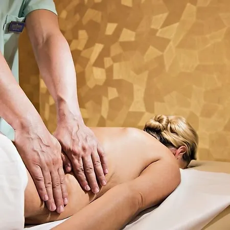 酒店 Royal Palace Turčianske Teplice